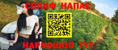 гидра Краснознаменск