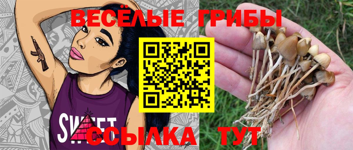Галлюциногенные грибы Менделеевск